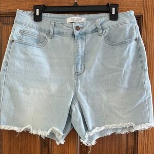 Judy Blue Light Blue Denim Women's Shorts Size 1X